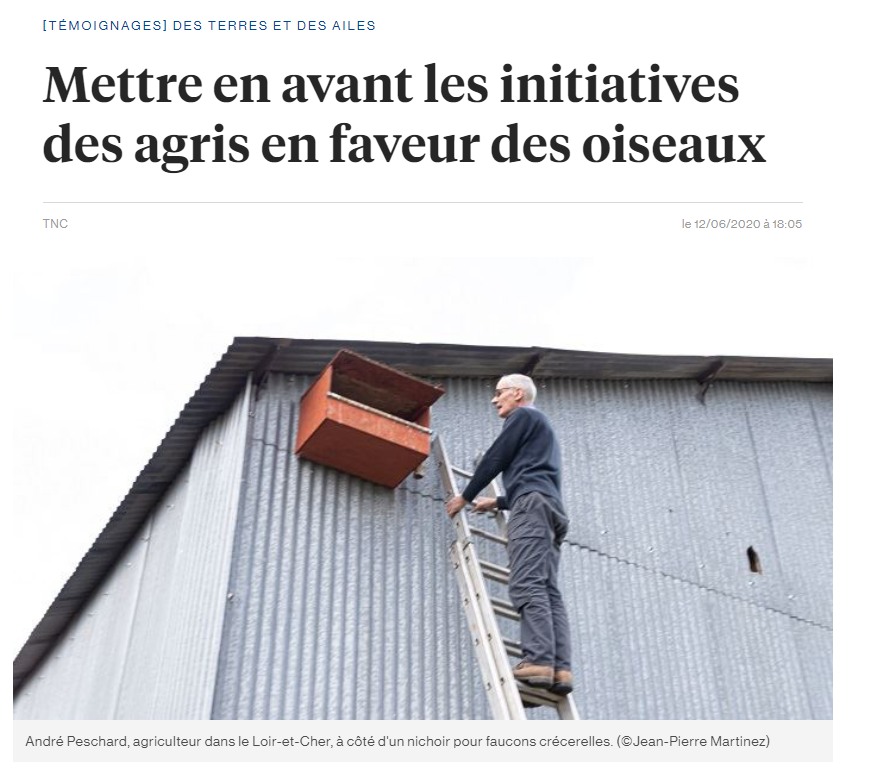 illustration de l'article de presse Mettre en avant les initiatives des agris en faveur des oiseaux